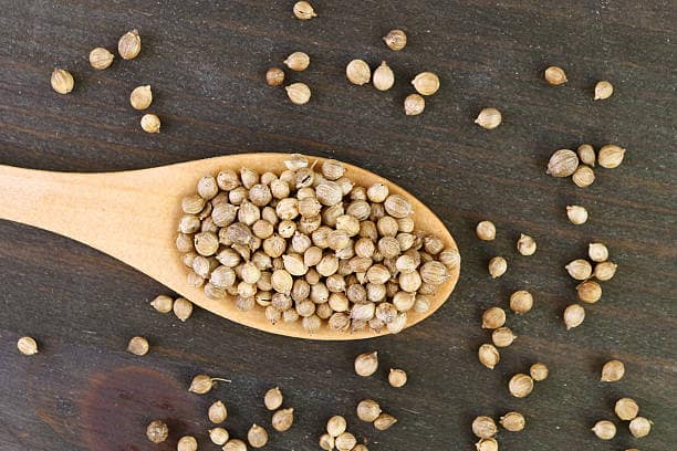 تصویر 4 از فروش تخم گشنیز ممتاز + قیمت خرید به صرفه